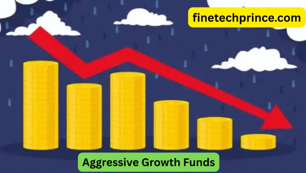 Aggressive Growth Funds: Big Returns in 2025
